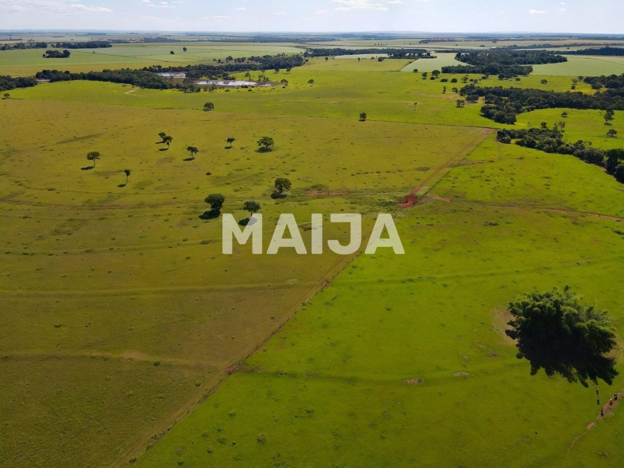 Земля Rio Verde, Бразилия, 20 500 000 м² - фото 4