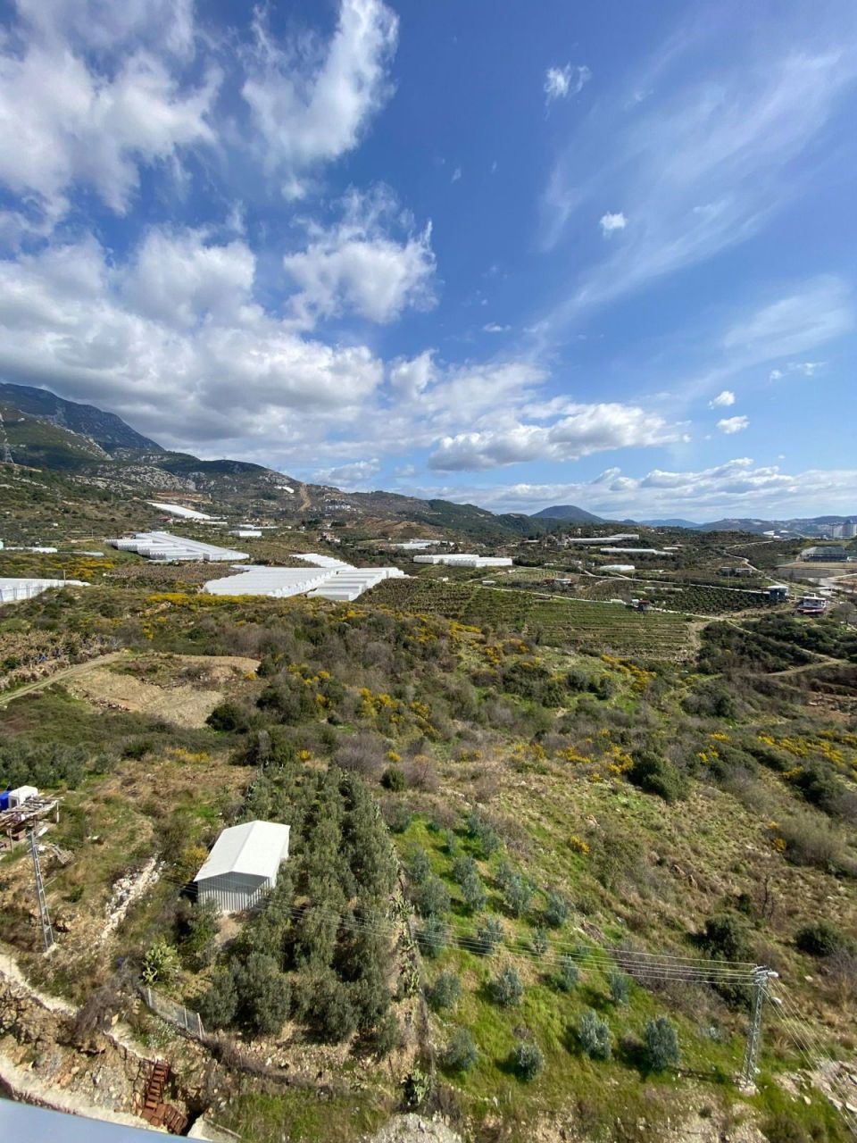 Апартаменты в Алании, Турция, 50 м² - фото 8