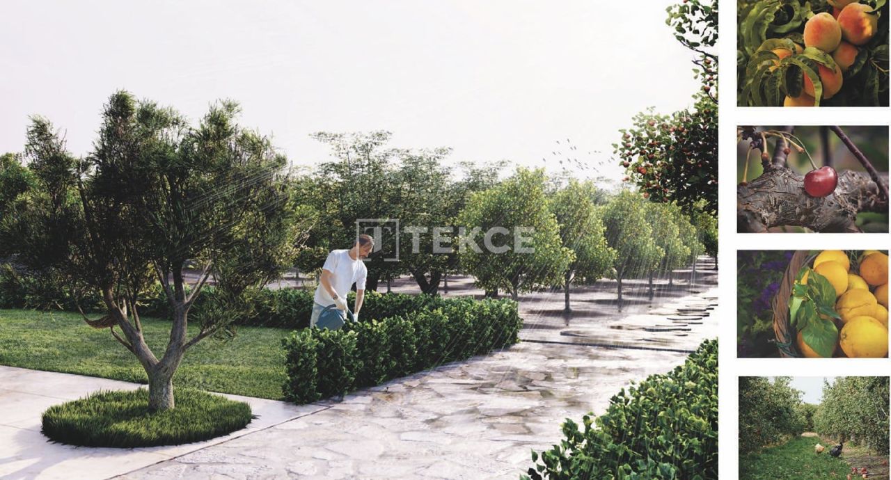 Вилла Урла, Турция, 687 м² - фото 14