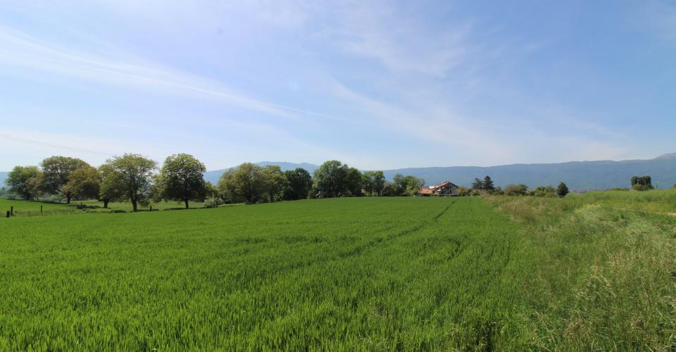 Квартира в Женеве, Швейцария - фото 1