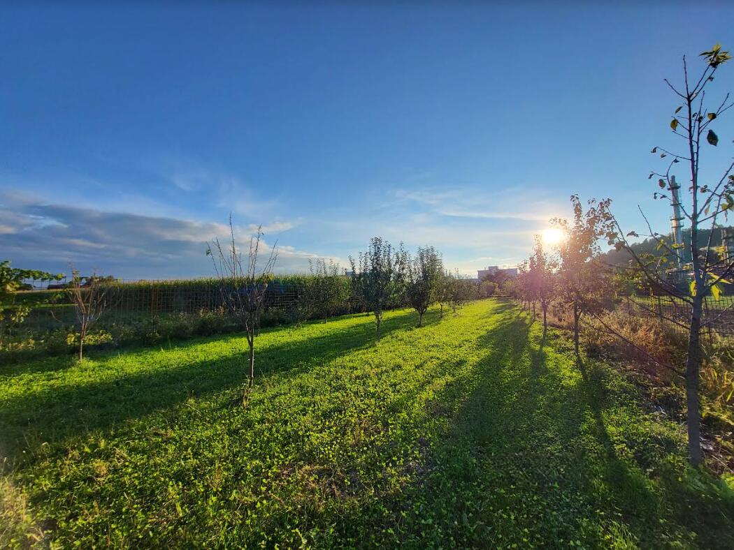 Дом в Любляне, Словения, 253 м² - фото 4