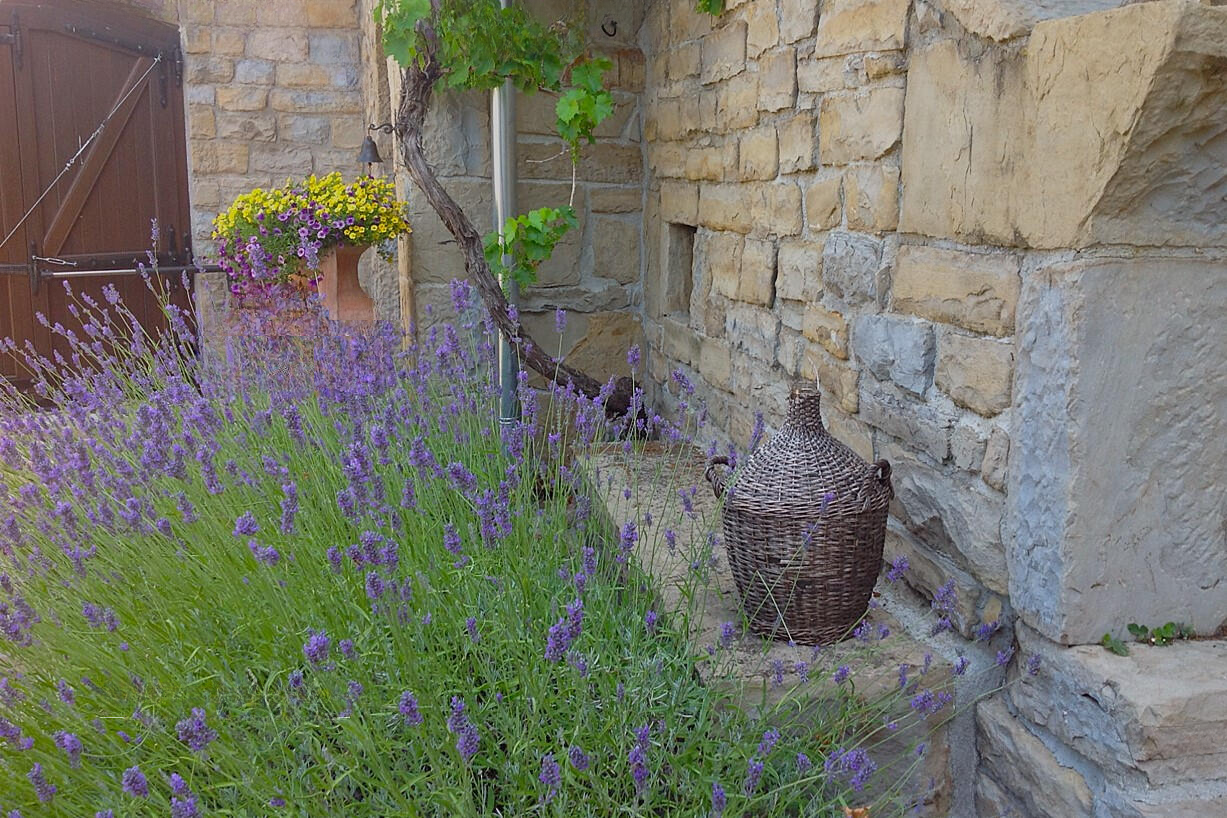 Дом в Копере, Словения, 471 м² - фото 11