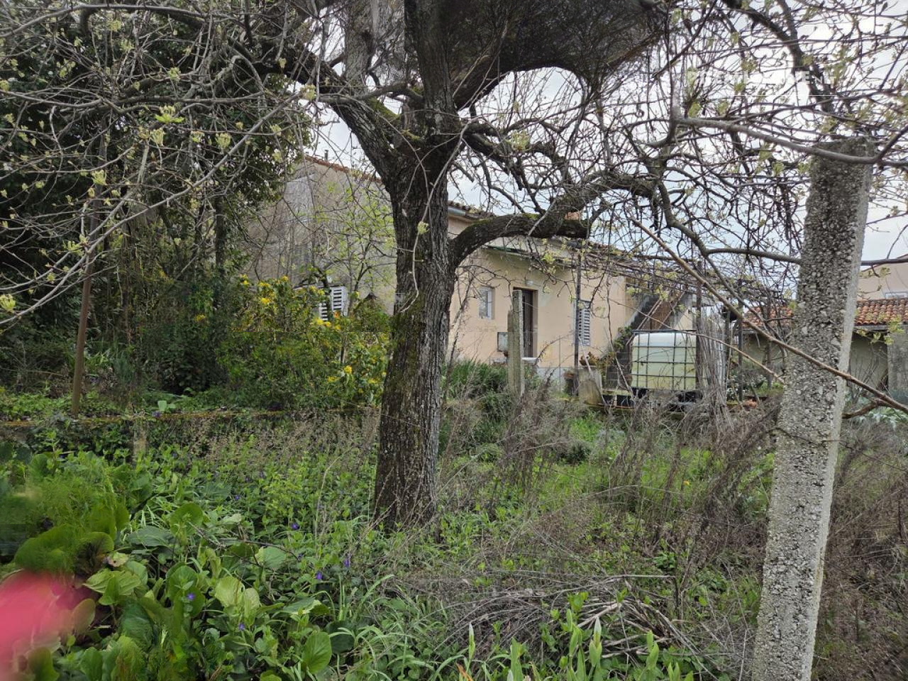 Дом в Пиране, Словения, 122 м² - фото 12