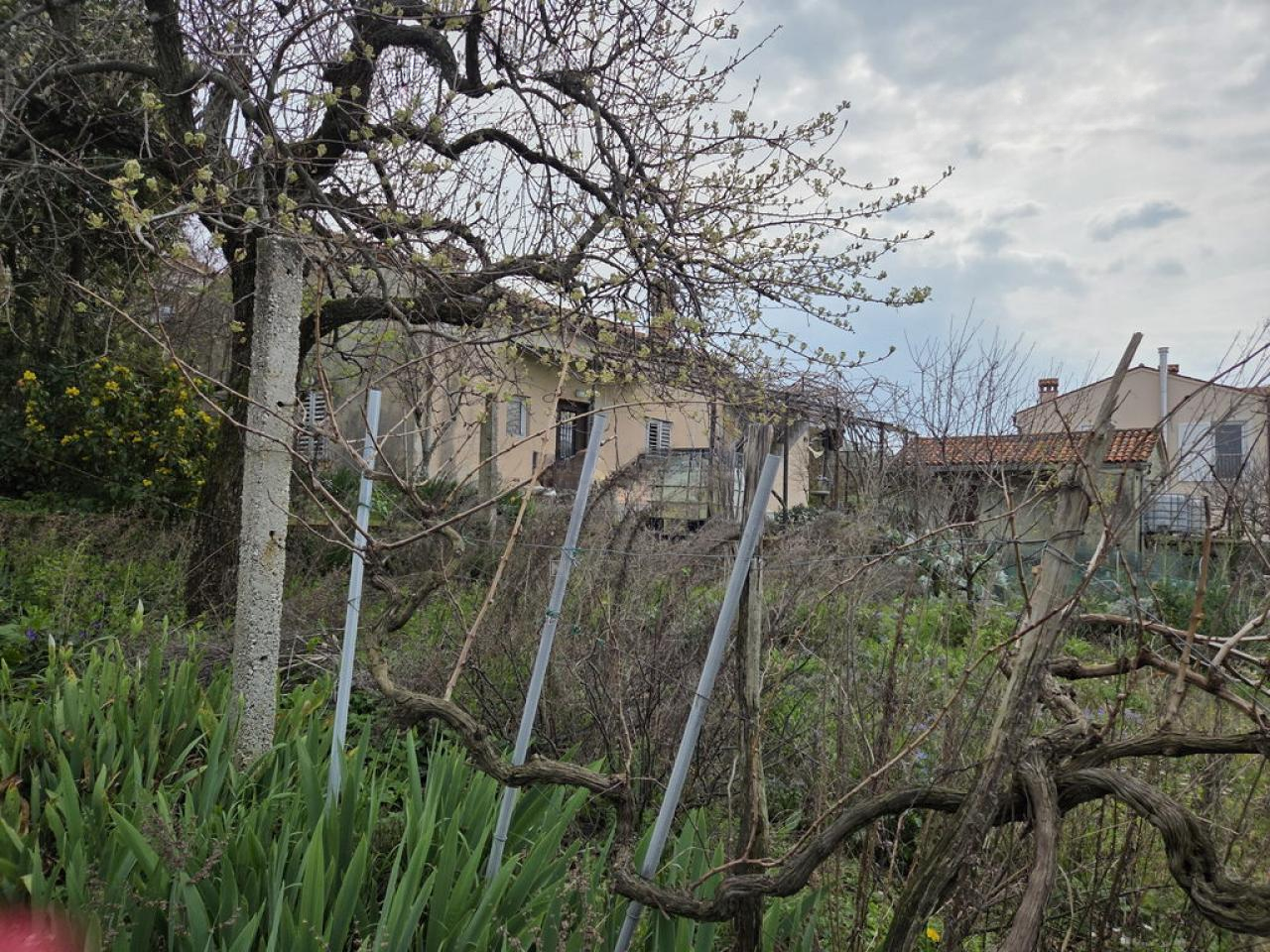 Дом в Пиране, Словения, 122 м² - фото 13