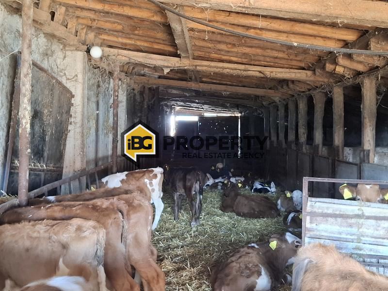 Отель, гостиница в Бургасе, Болгария, 12 000 м² - фото 13