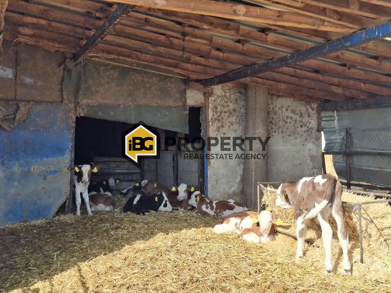 Отель, гостиница в Бургасе, Болгария, 12 000 м² - фото 12