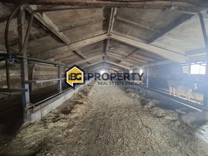 Отель, гостиница в Бургасе, Болгария, 12 000 м² - фото 3