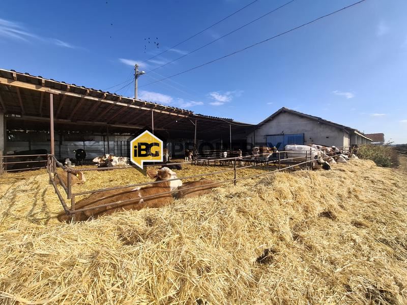 Отель, гостиница в Бургасе, Болгария, 12 000 м² - фото 4