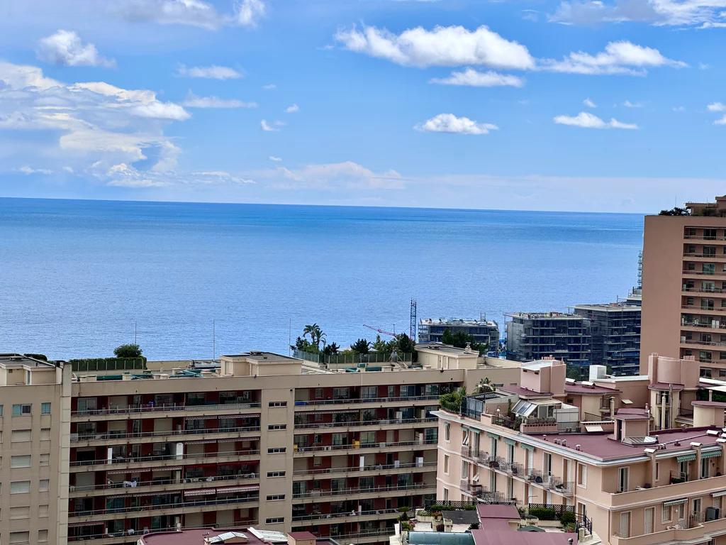 Квартира в Сен-Романе, Монако, 40 м² - фото 2