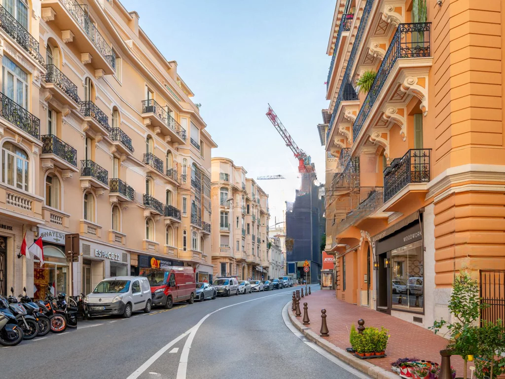 Квартира в Сен-Романе, Монако, 170 м² - фото 4