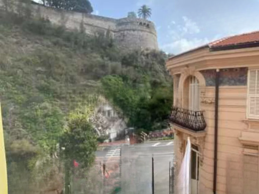 Квартира в Ла-Кондамине, Монако, 66 м² - фото 5