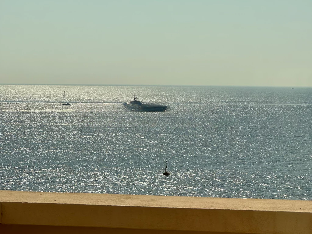 Квартира в Фонвьее, Монако, 750 м² - фото 6