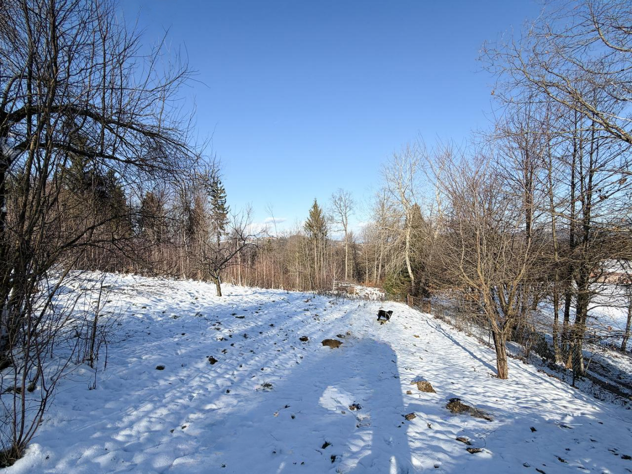 Дом в Любляне, Словения, 400 м² - фото 8