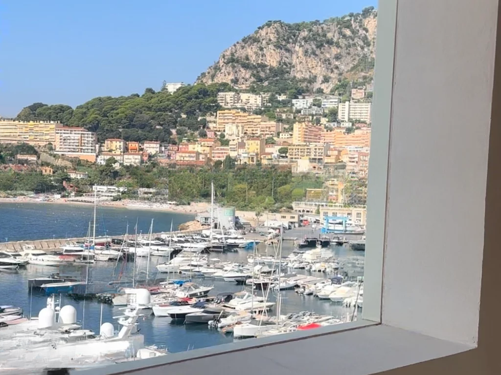 Квартира в Фонвьее, Монако, 750 м² - фото 9