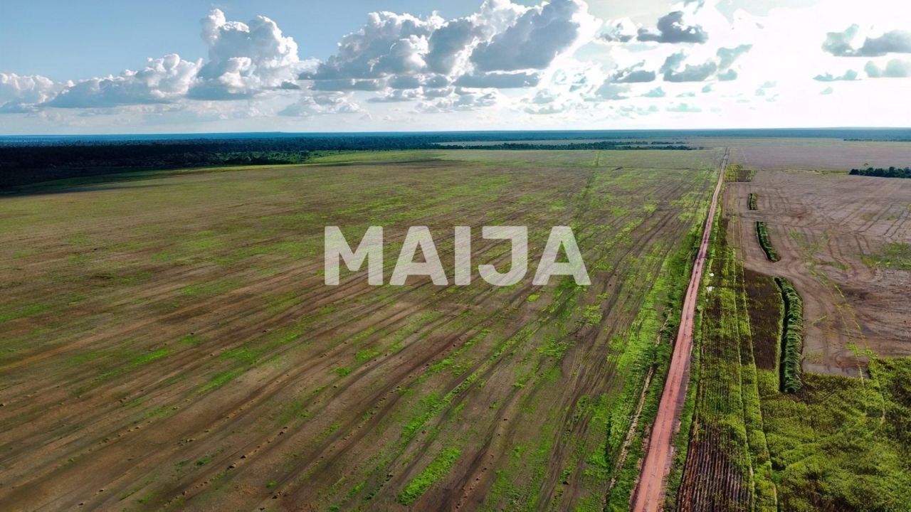 Земля Алта-Флореста, Бразилия - фото 1