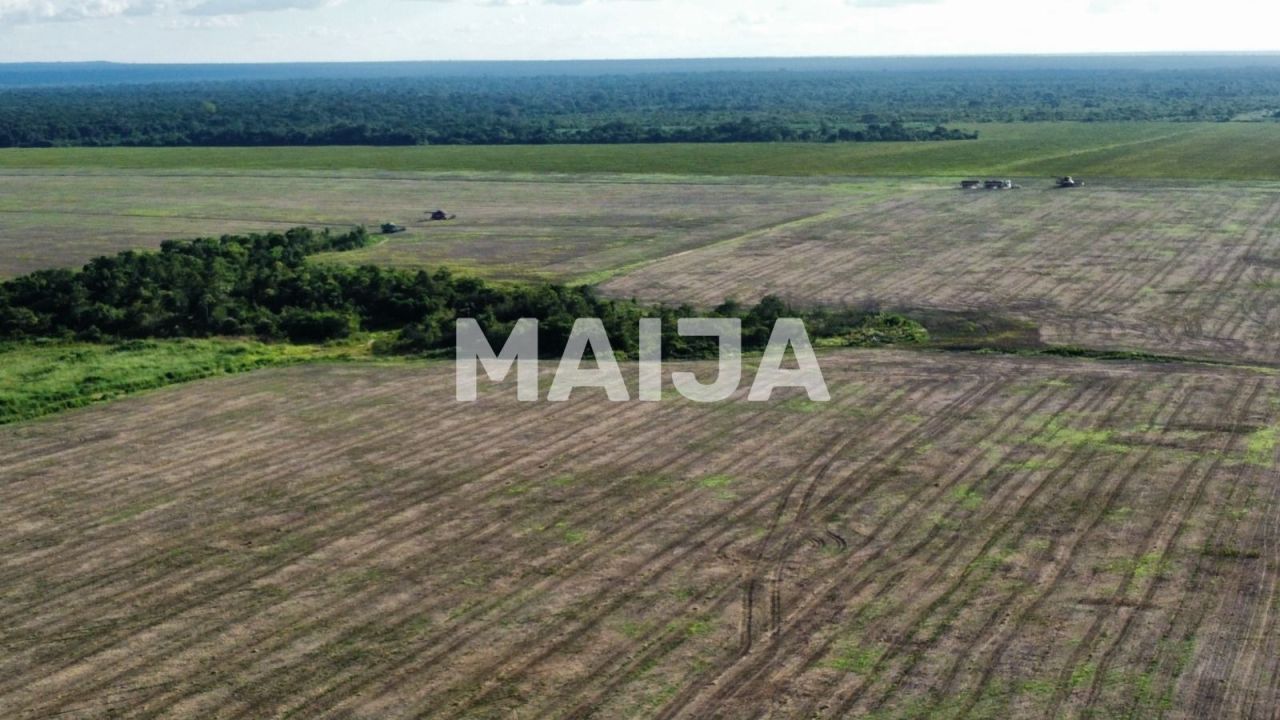 Земля Алта-Флореста, Бразилия - фото 2