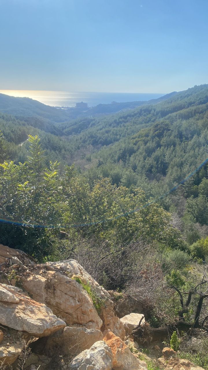 Земля в Алании, Турция, 2 600 м² - фото 1