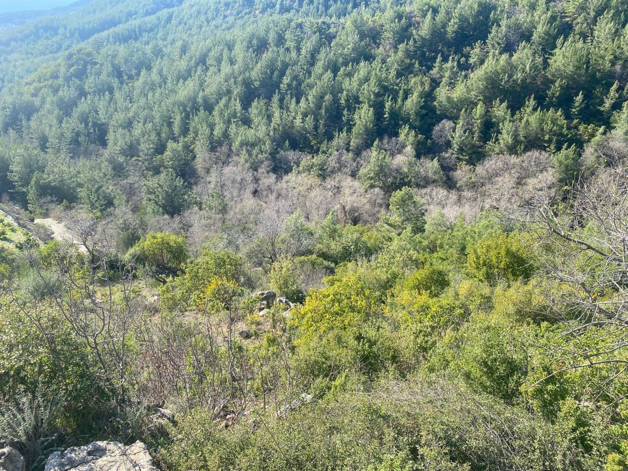 Земля в Алании, Турция, 2 600 м² - фото 2