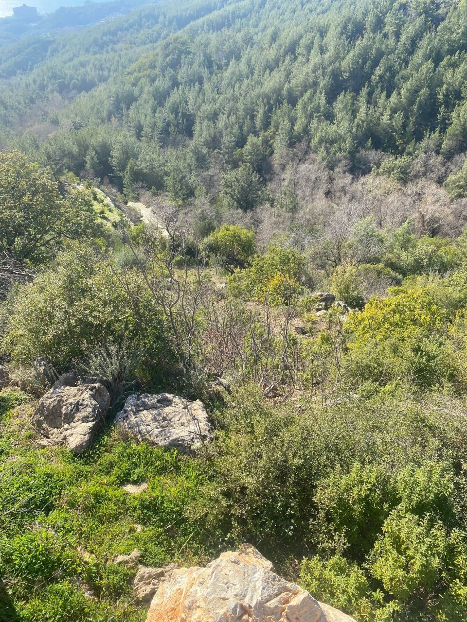 Земля в Алании, Турция, 2 600 м² - фото 3