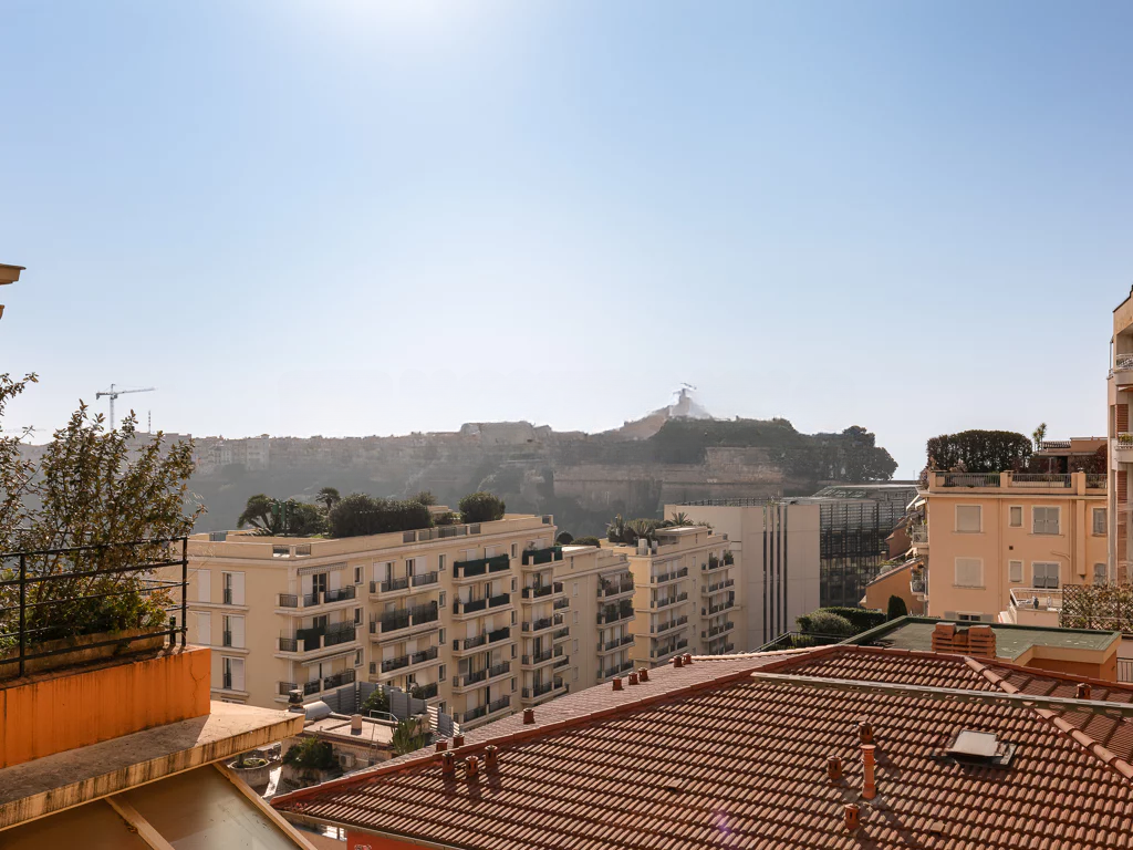 Квартира в Ла-Кондамине, Монако, 75 м² - фото 2