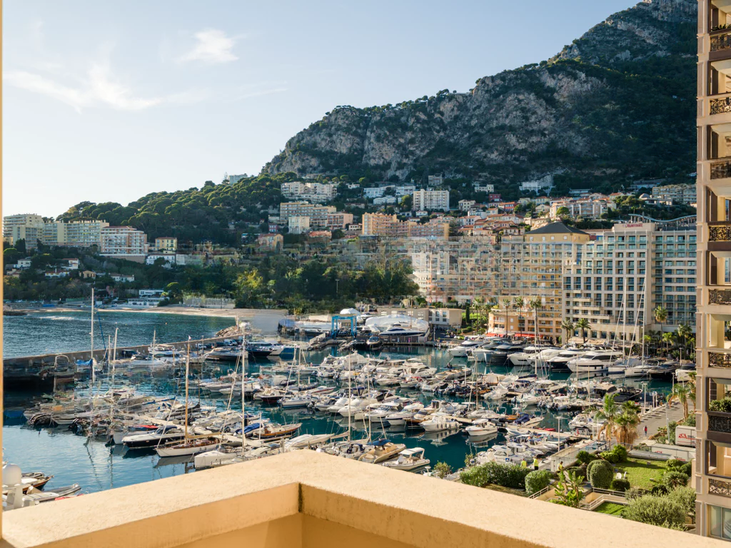 Квартира в Фонвьее, Монако, 700 м² - фото 2