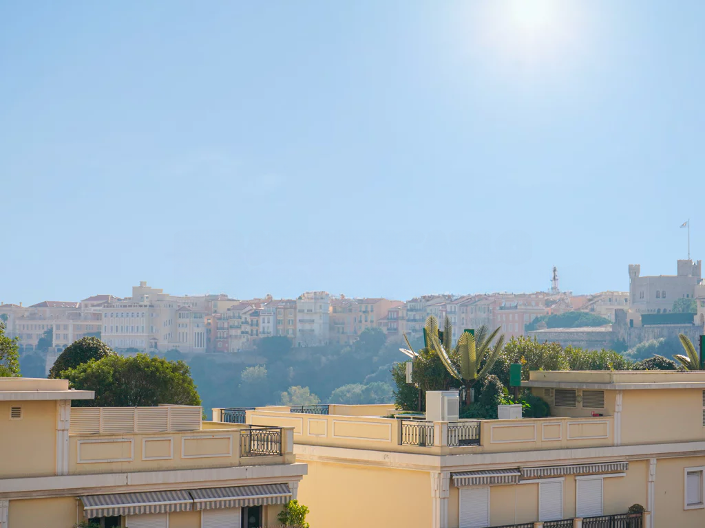 Квартира в Ла-Кондамине, Монако, 164 м² - фото 15