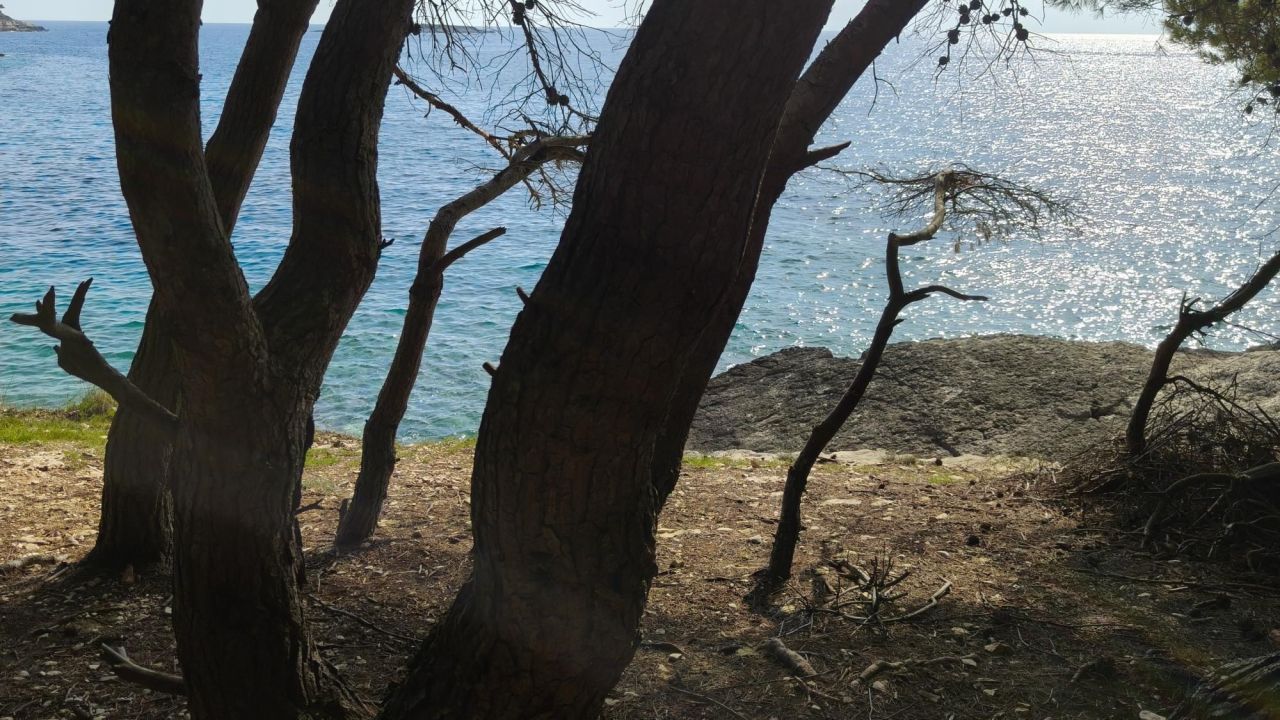 Вилла на острове Брач, Хорватия, 200 м² - фото 19