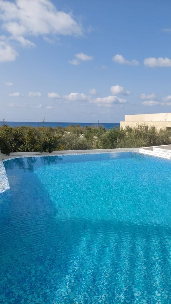 Вилла в Пафосе, Кипр, 443 м² - фото 4