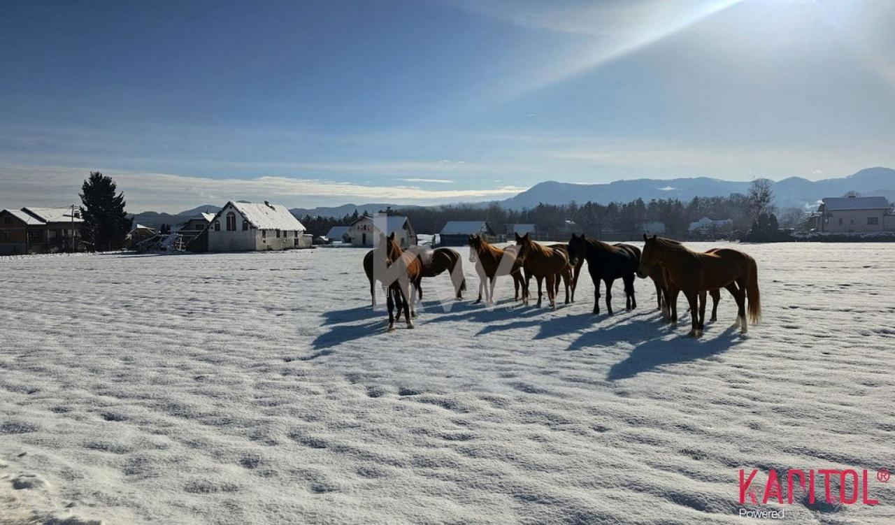 Ферма в Целе, Словения, 329 м² - фото 1