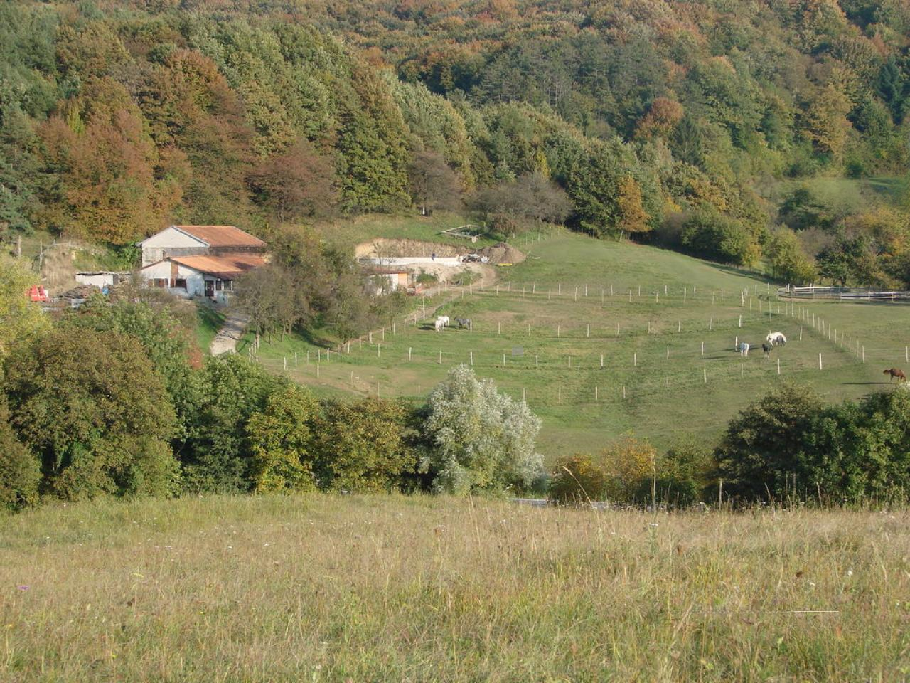 Ферма в Сежане, Словения, 475 м² - фото 1