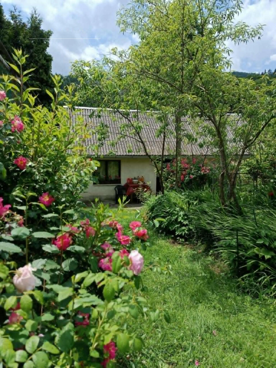 Дом в Лашко, Словения, 55 м² - фото 1