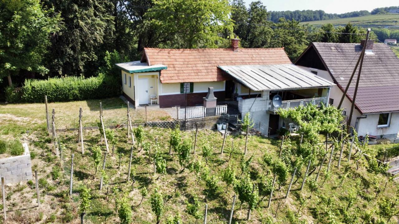 Дом в Птуе, Словения, 82 м² - фото 1