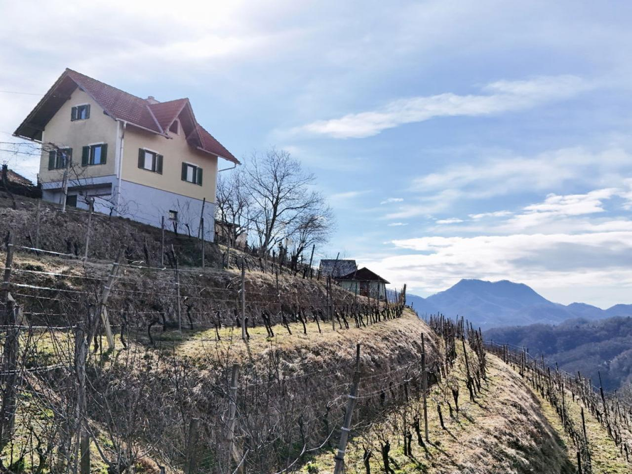 Дом в Птуе, Словения, 98 м² - фото 1