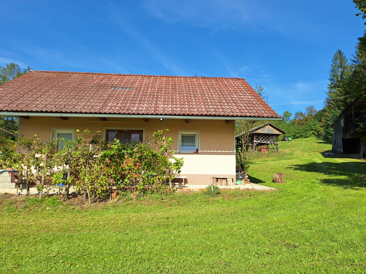 Ферма в Севнице, Словения, 51 000 м² - фото 2