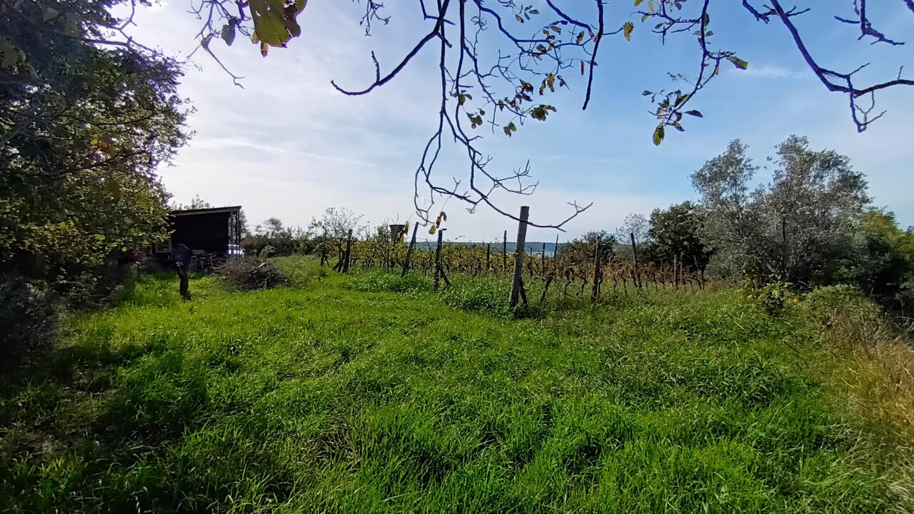 Ферма в Пиране, Словения, 2 121 м² - фото 2