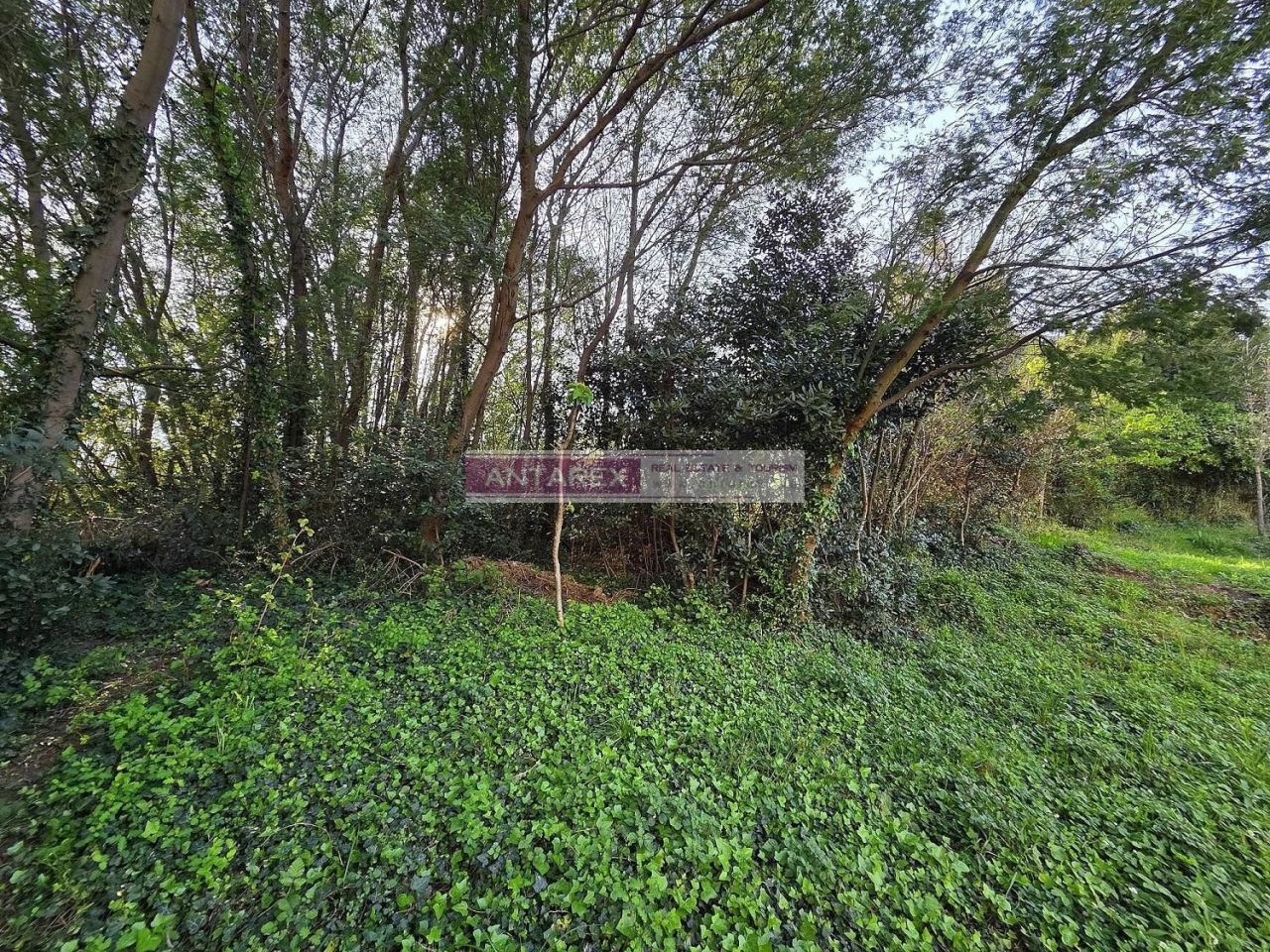 Земля в Биеле, Черногория, 1 601 м² - фото 3