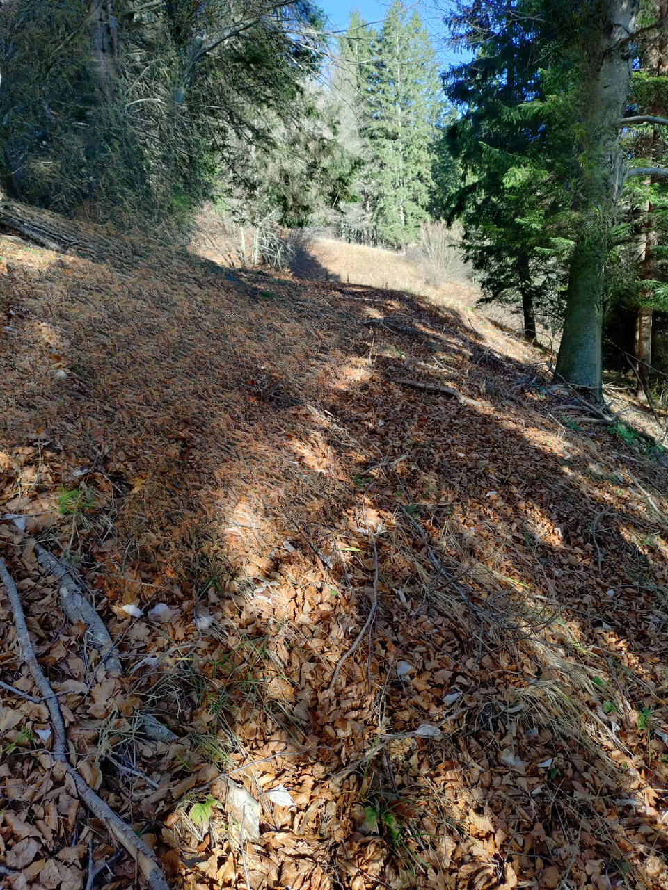 Земля в Преддворе, Словения, 5 010 м² - фото 2