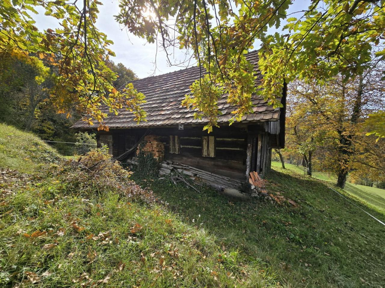 Ферма в Шентюре, Словения, 35 м² - фото 3