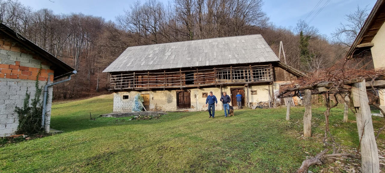 Ферма в Птуе, Словения, 210 000 м² - фото 3