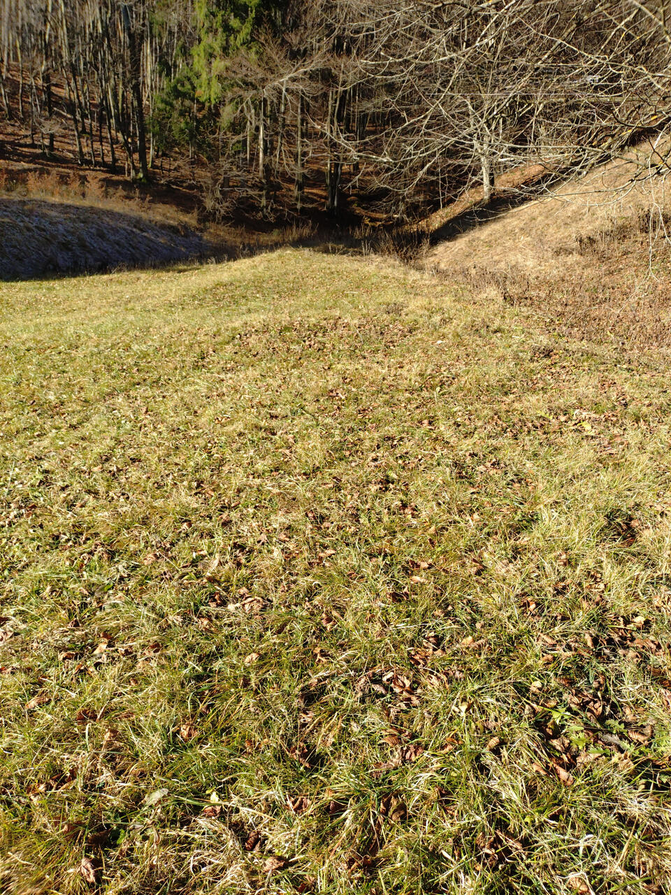 Земля в Преддворе, Словения, 5 010 м² - фото 3