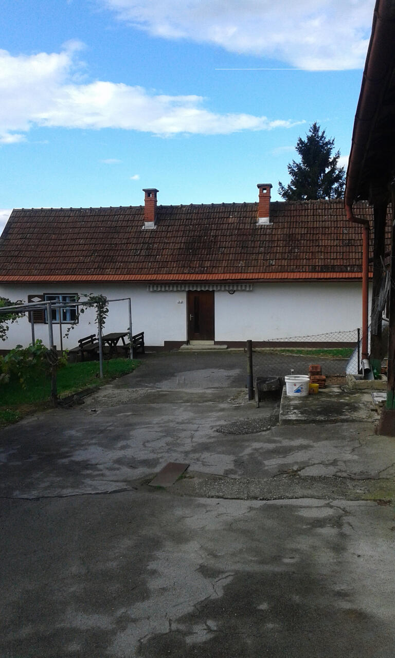 Ферма в Птуе, Словения, 35 000 м² - фото 3