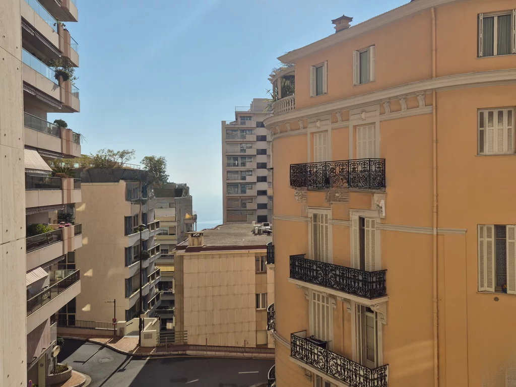 Квартира в Сен-Романе, Монако, 29 м² - фото 3