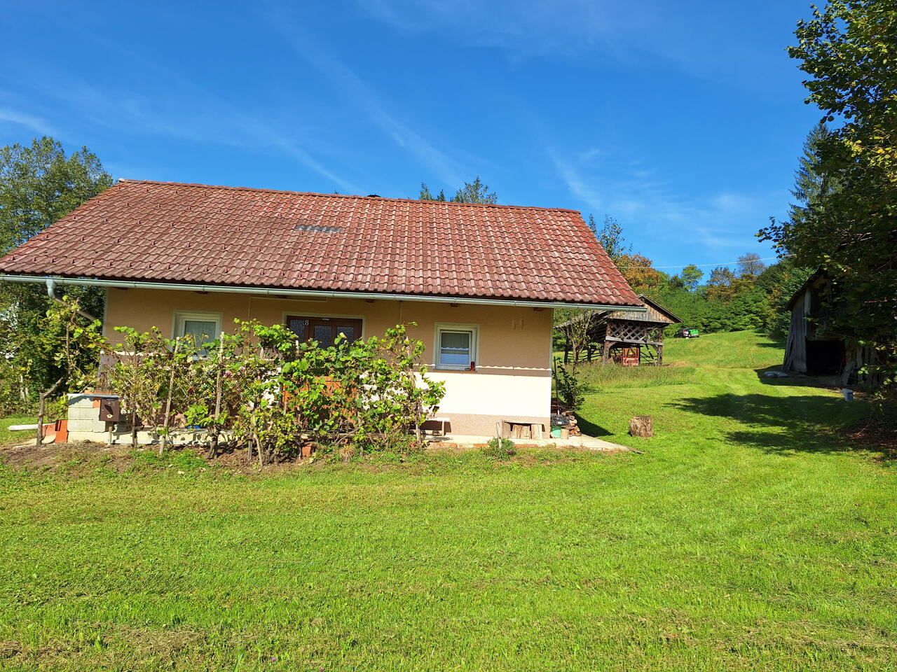 Ферма в Севнице, Словения, 51 000 м² - фото 3