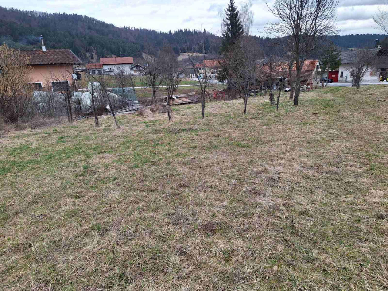 Дом в Рибнице, Словения, 120 м² - фото 4