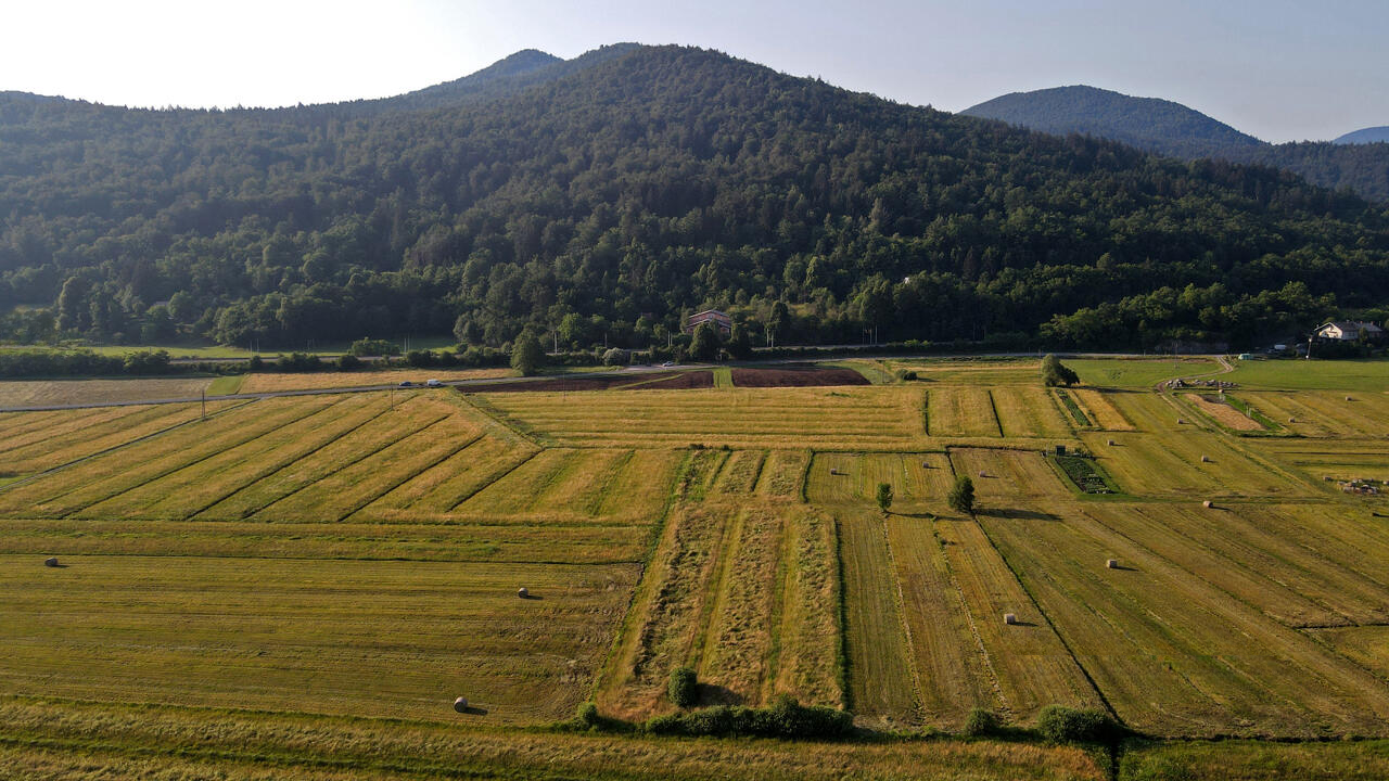 Ферма в Любляне, Словения, 53 820 м² - фото 4