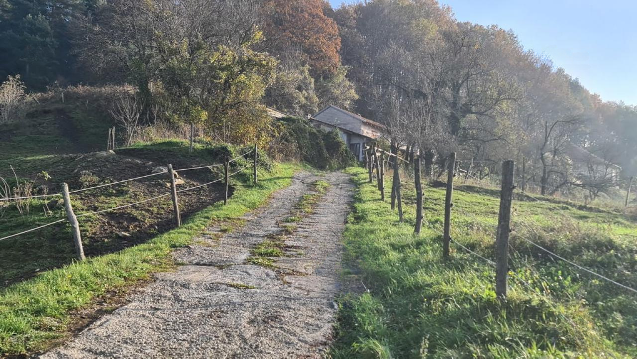 Ферма в Сежане, Словения, 475 м² - фото 4