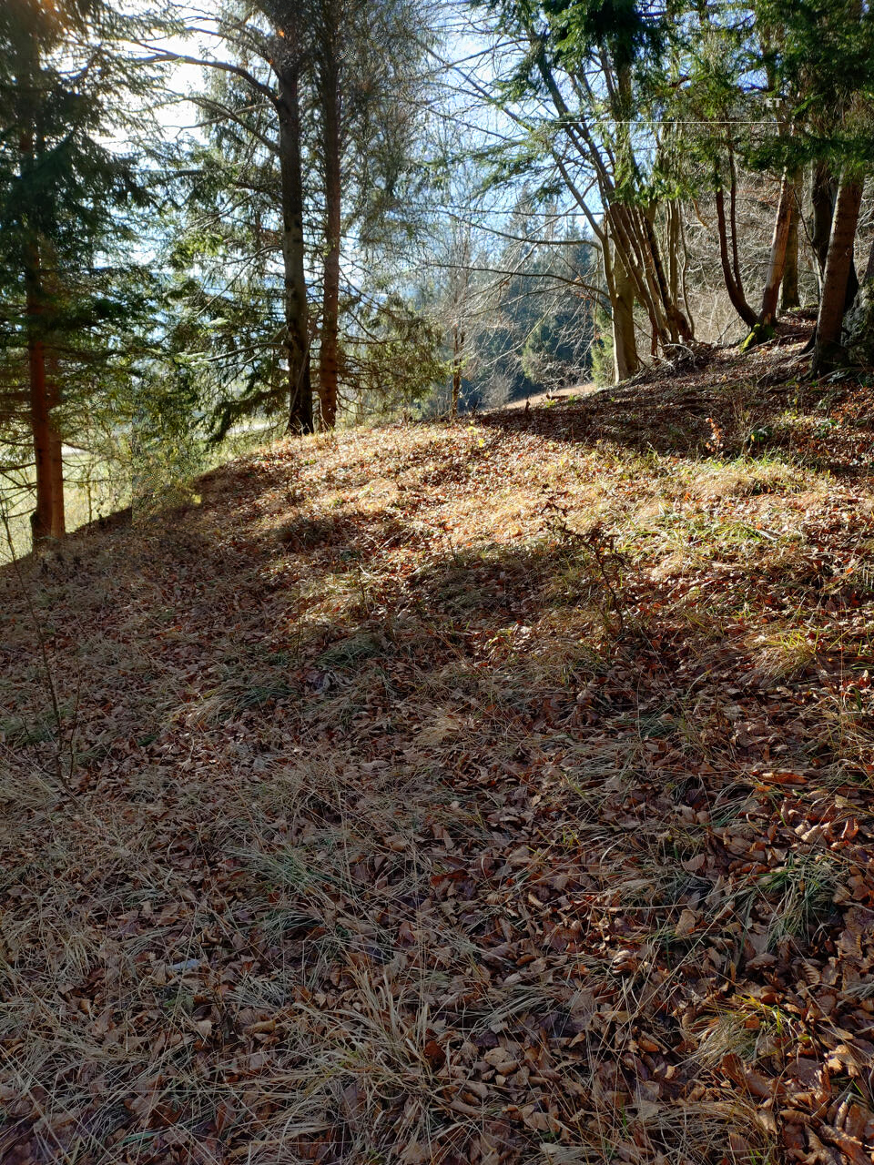 Земля в Преддворе, Словения, 5 010 м² - фото 4