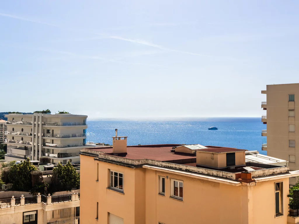 Квартира в Сен-Романе, Монако, 60 м² - фото 4