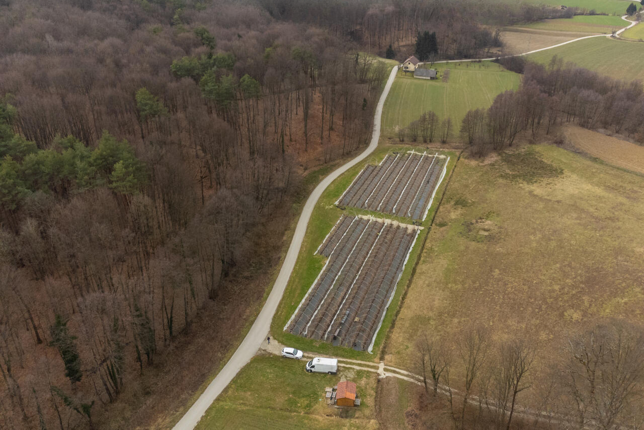 Ферма в Орможе, Словения, 3 200 м² - фото 4