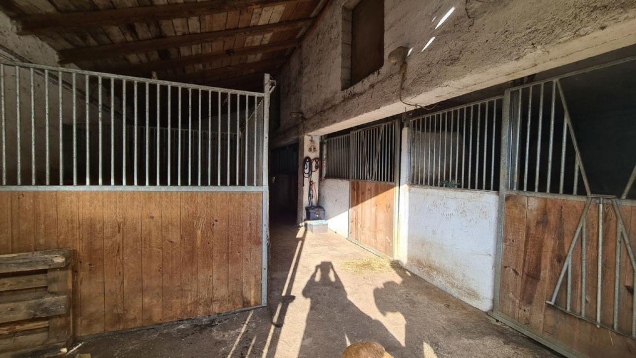 Ферма в Сежане, Словения, 475 м² - фото 5